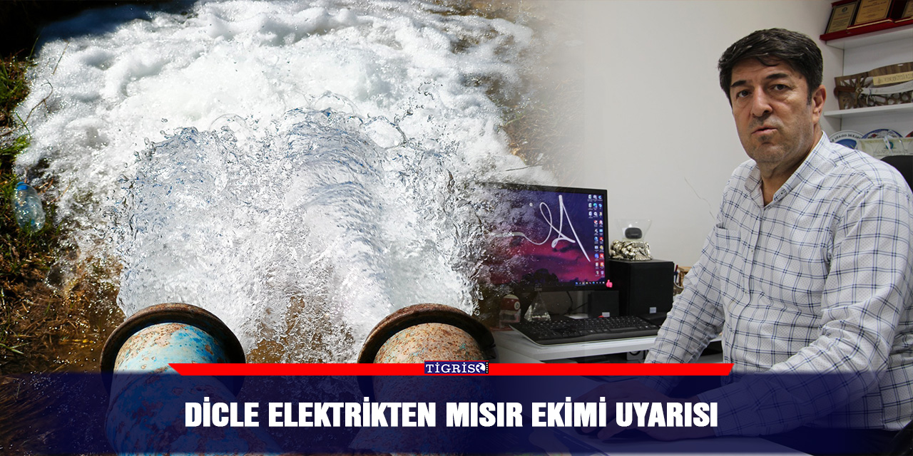 Dicle elektrikten mısır ekimi uyarısı