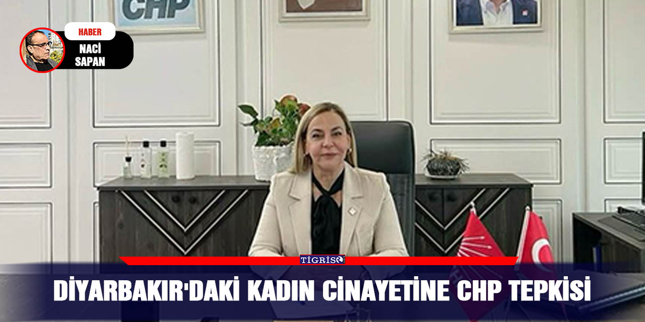 Diyarbakır'daki kadın cinayetine CHP tepkisi