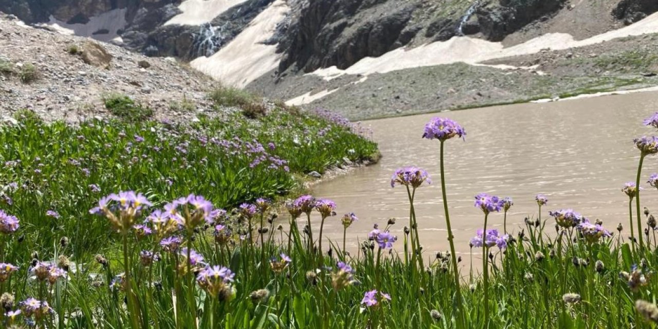 Cilo Dağı'nda buzullar hızla eriyor