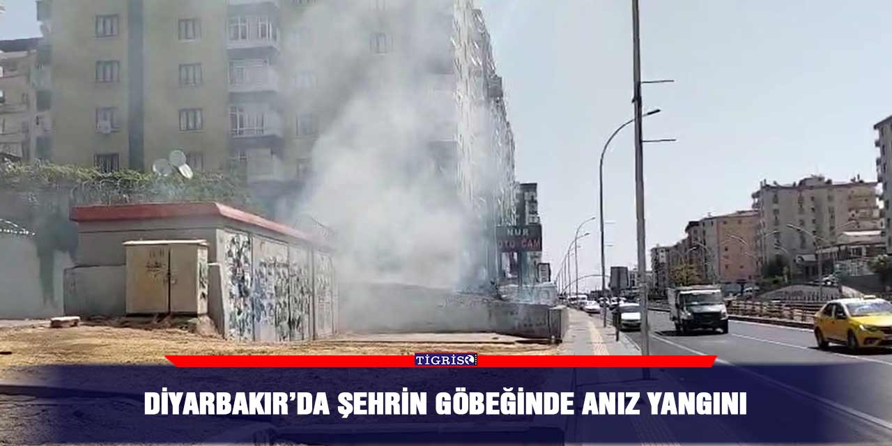 Diyarbakır’da şehrin göbeğinde anız yangını