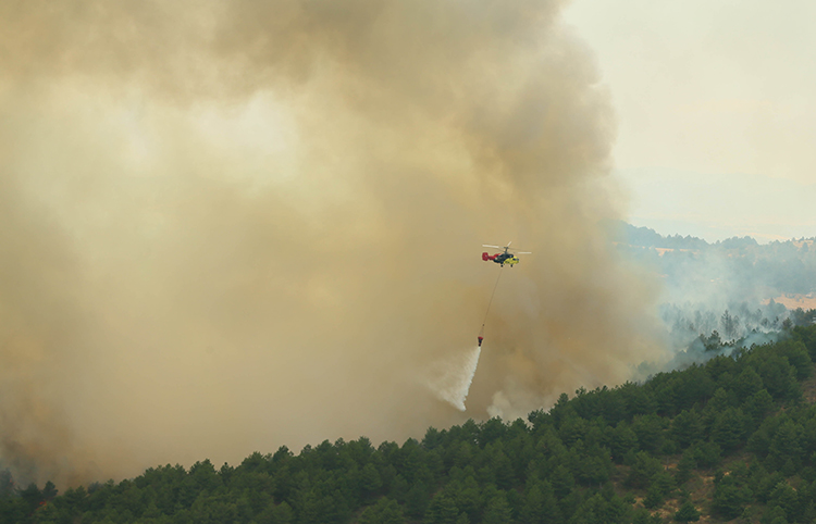 Uşak'ta orman yangını