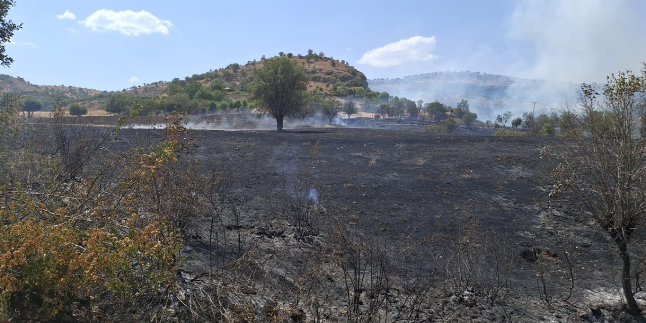 Diyarbakır Kulp'taki orman yangını kontrol altına alındı