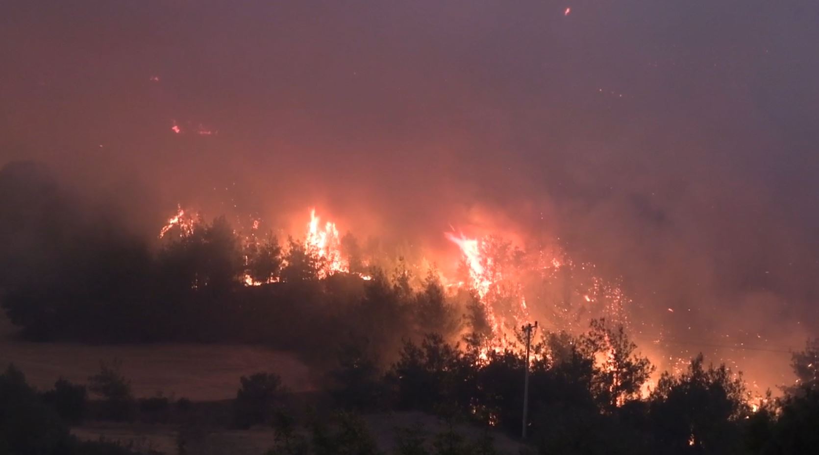 Bilecik’te orman yangını: 4 köy tedbir amaçlı tahliye edildi