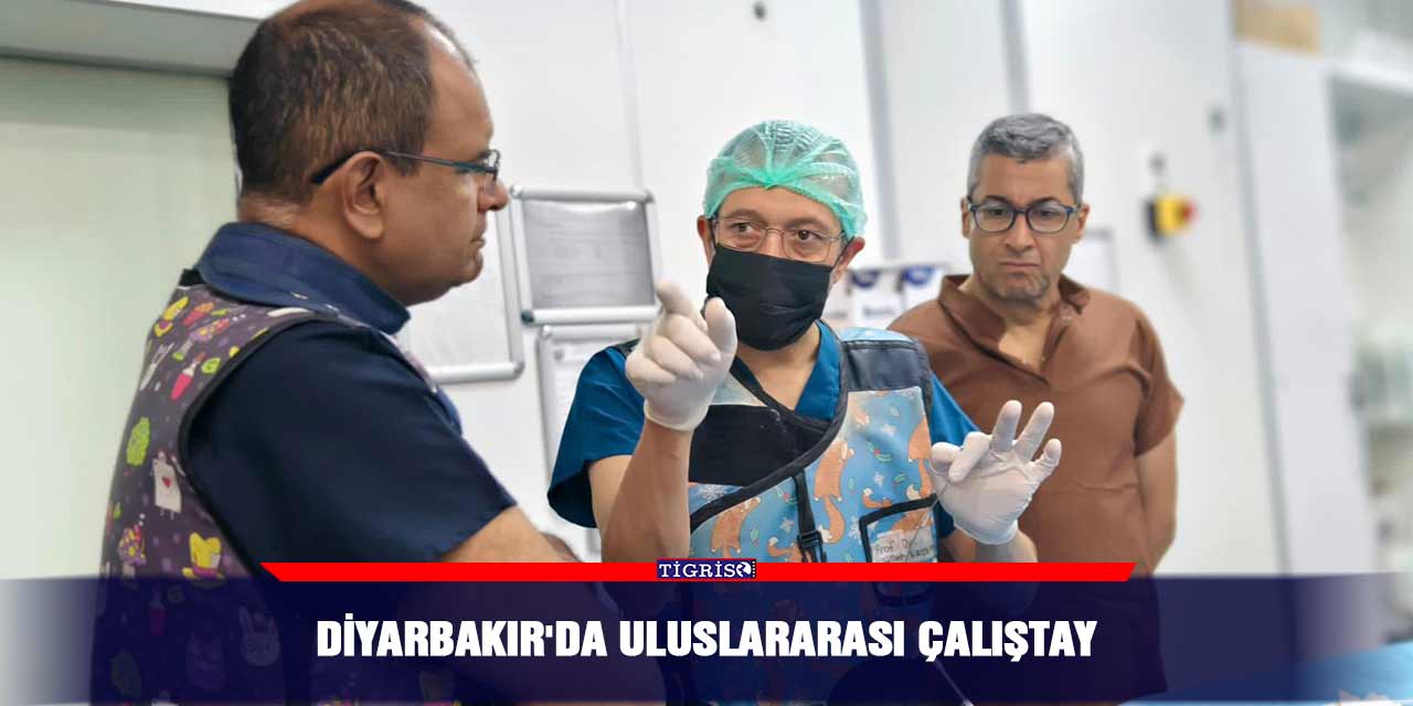 Diyarbakır'da Uluslararası Çalıştay