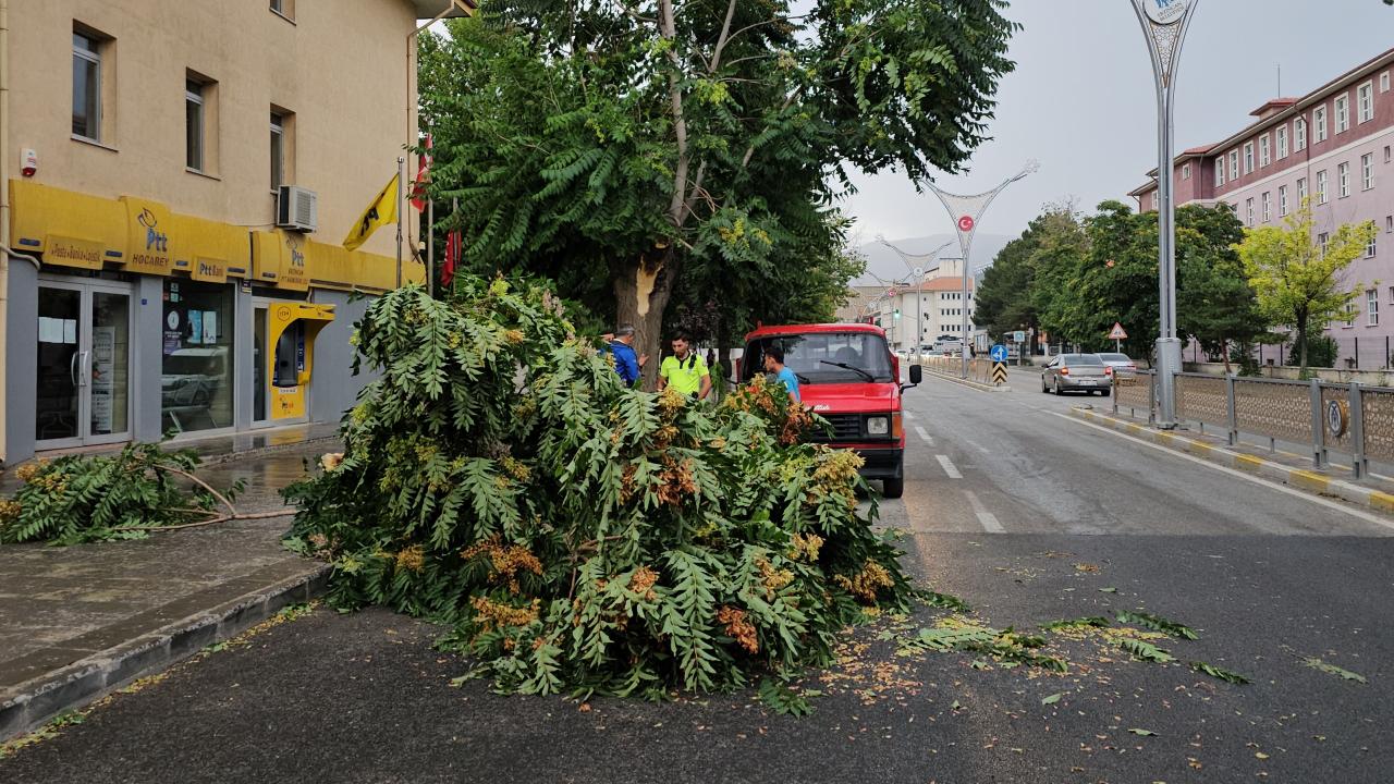 Güneydoğu için kuvvetli rüzgar uyarısı