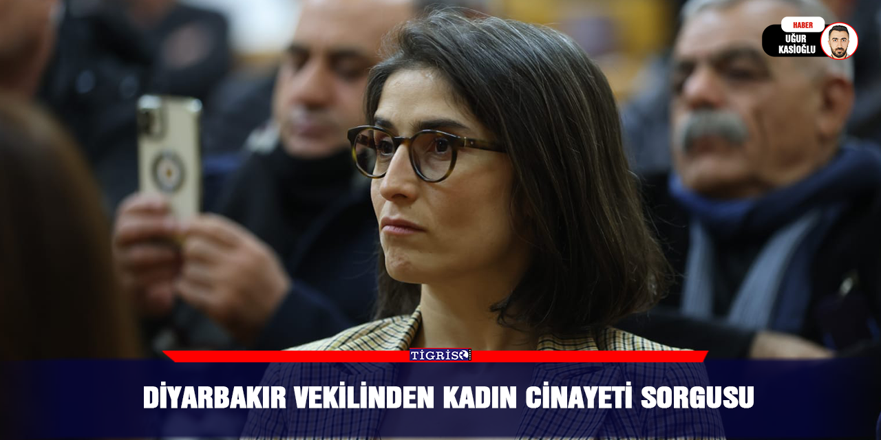 Diyarbakır vekilinden kadın cinayeti sorgusu