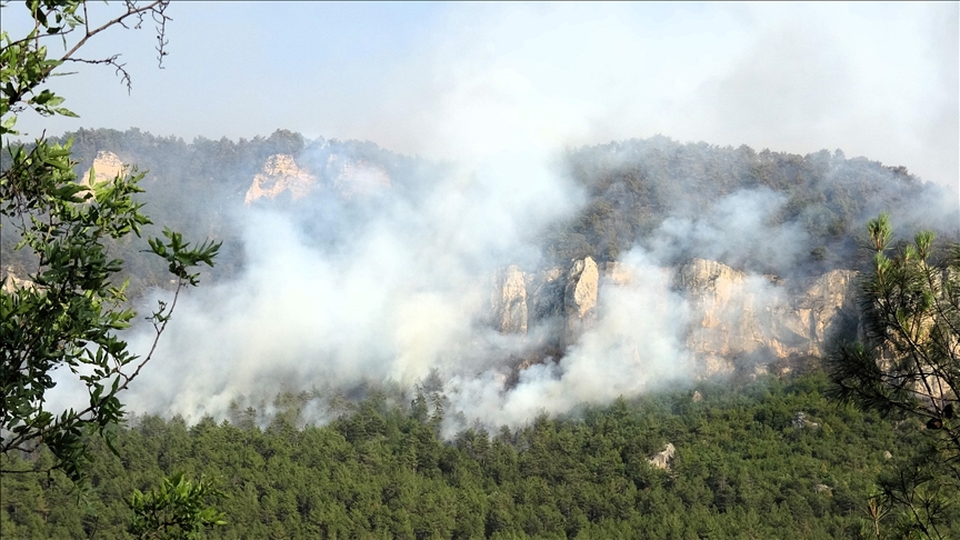 Orman yangınlarına müdahale devam ediyor