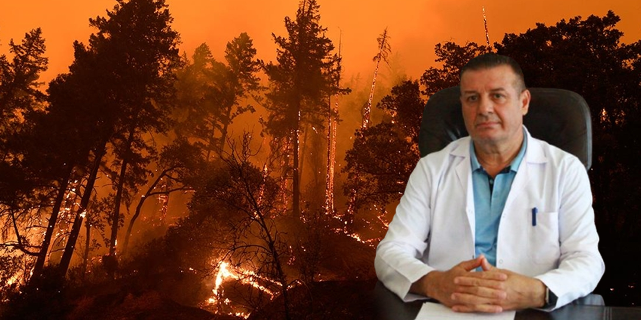 Yanan sadece ağaçlar değil doğanın akciğerleridir