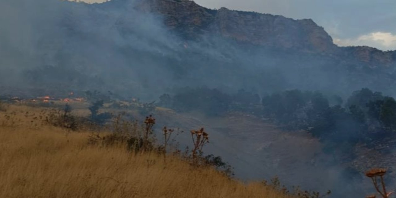 Diyarbakır'da orman yangını: Helikopterler müdahale ediyor