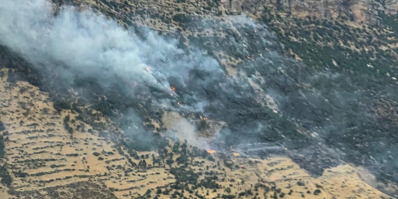 Diyarbakır'da çıkan orman yangınında 10'uncu saat: Geniş alana yayılıyor