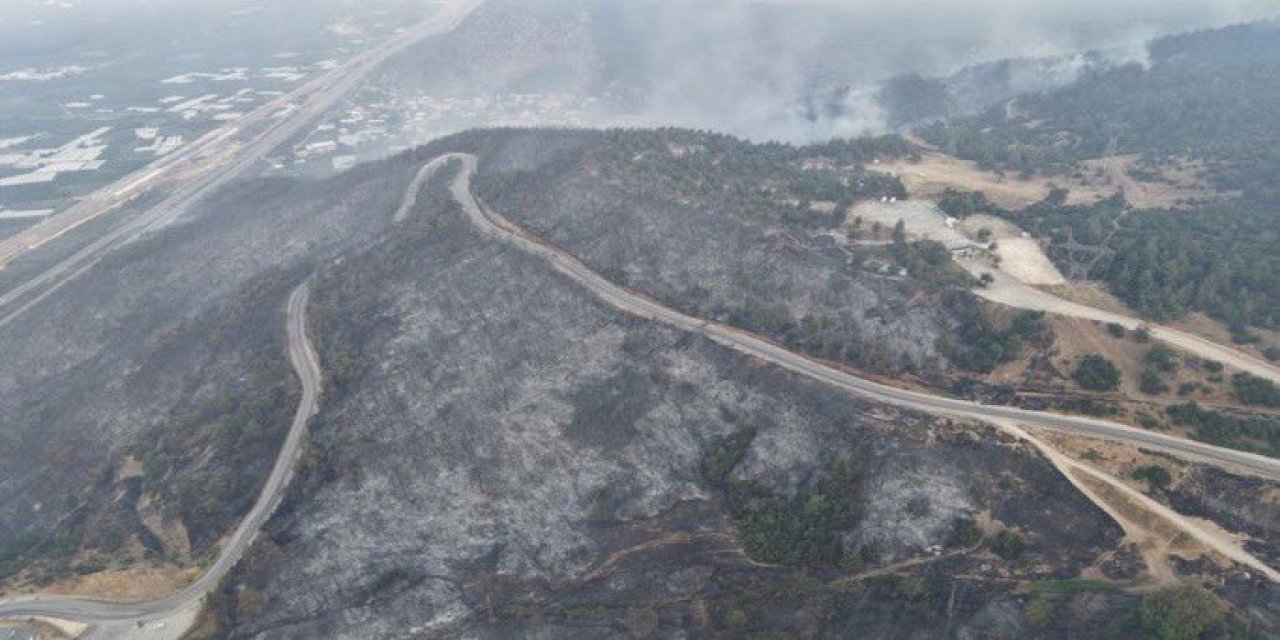 Bursa'da orman yangını: Felaketin boyutları havadan görüntülendi