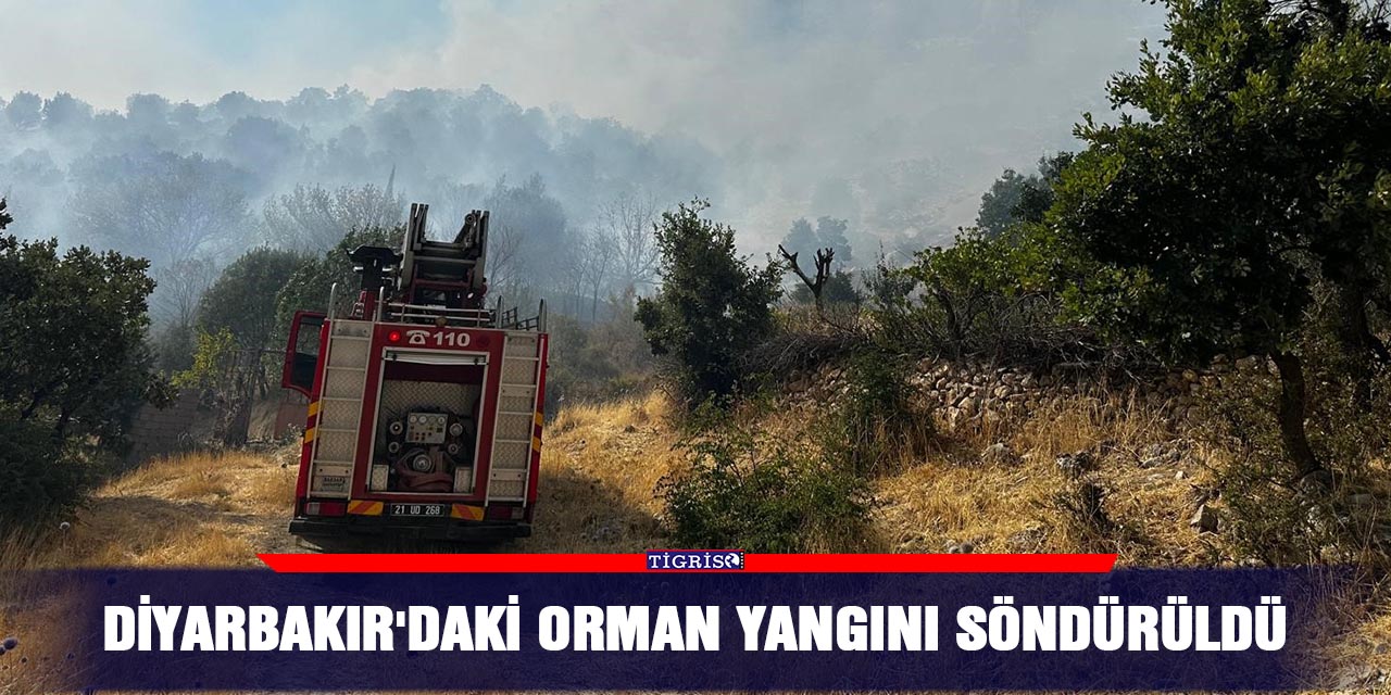 Diyarbakır'daki orman yangını söndürüldü