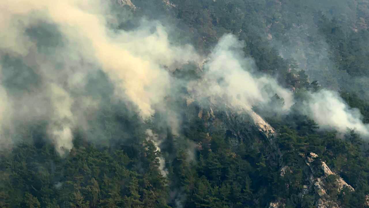 Adana’daki orman yangınlarına 3 tutuklama