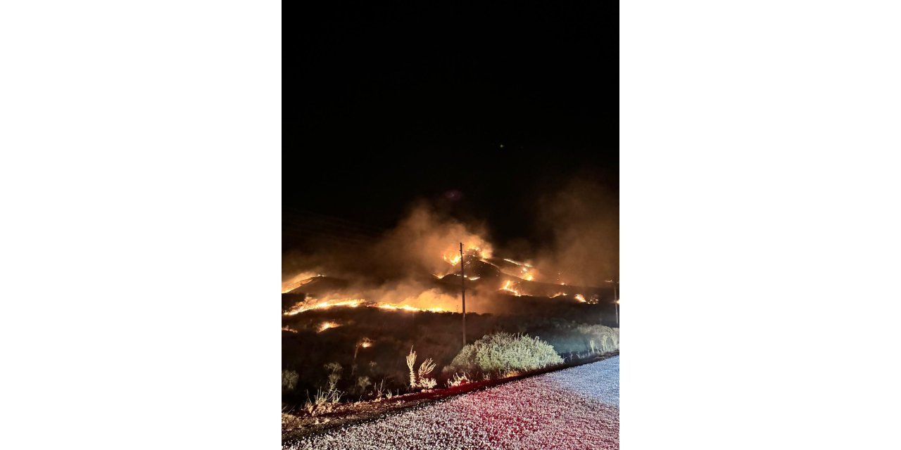 Bingöl’deki orman yangını söndürüldü