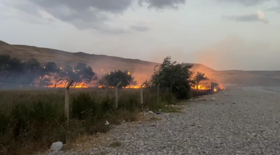 Van'da ağaçlık alanda yangın