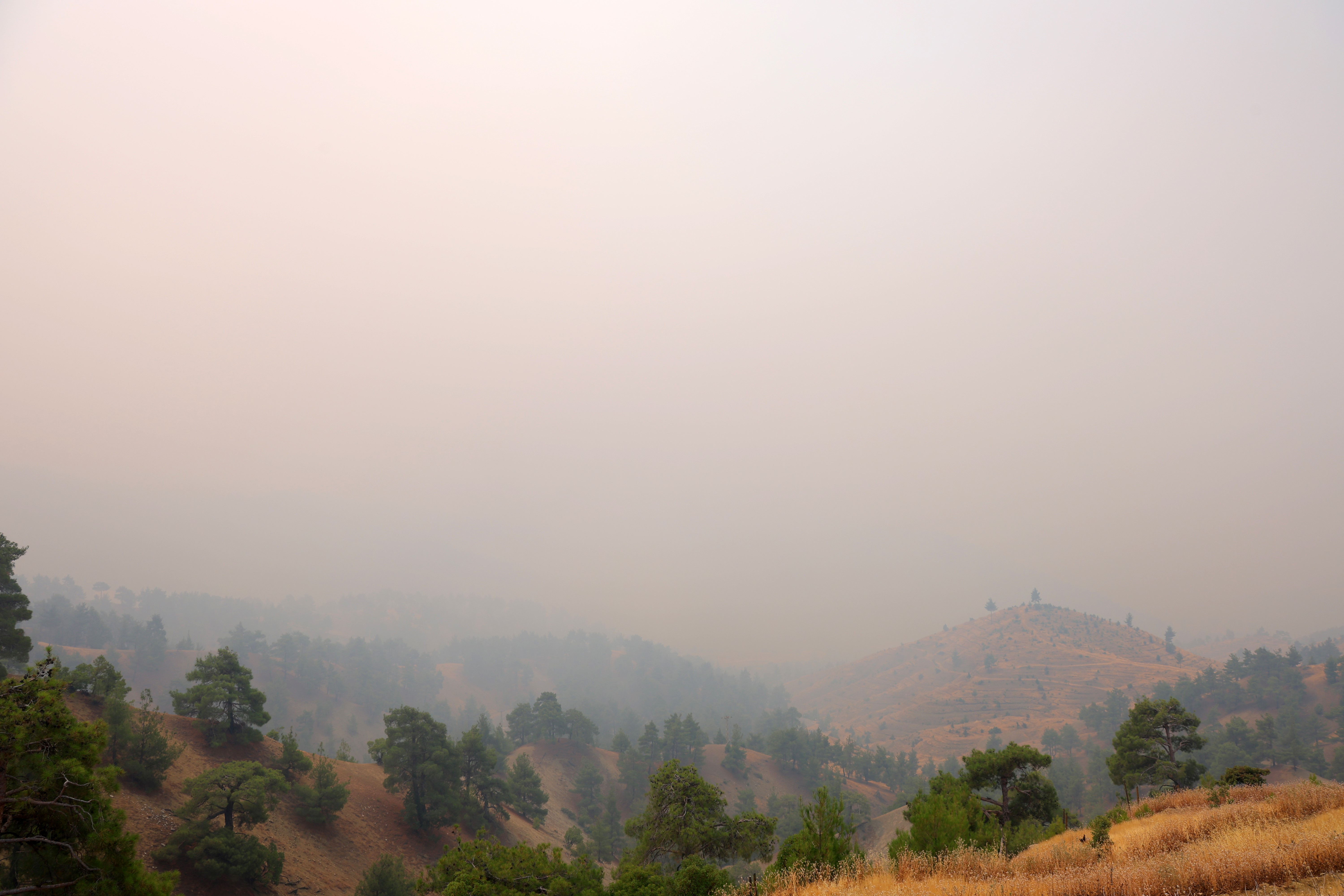 Kahramanmaraş'ta orman yangını 20 saattir sürüyor