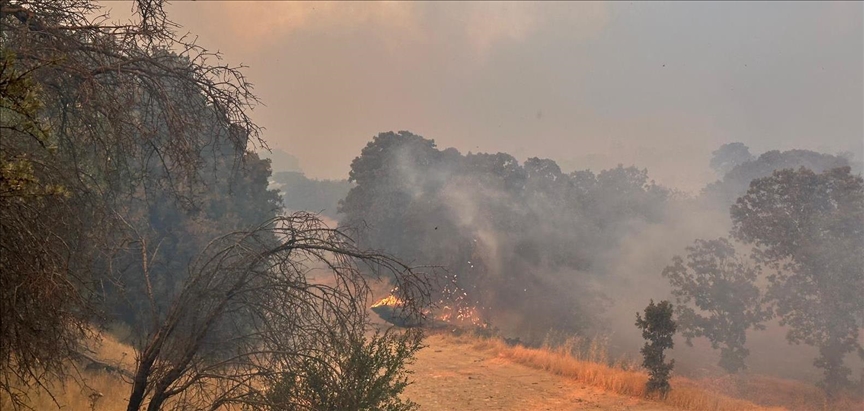 Orman yangınlarının yüzde 90'ı insan kaynaklı