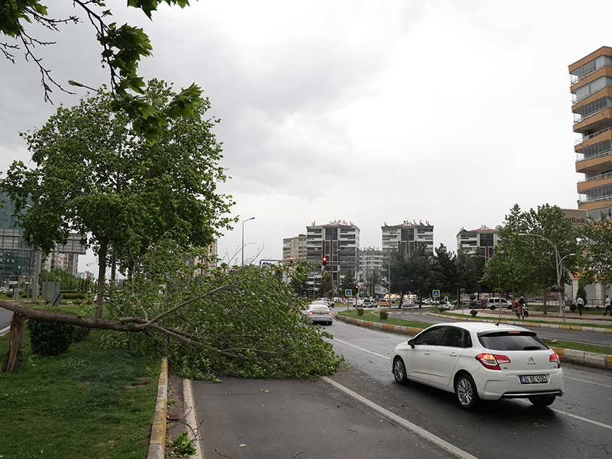 Güneydoğu için kuvvetli rüzgâr uyarısı