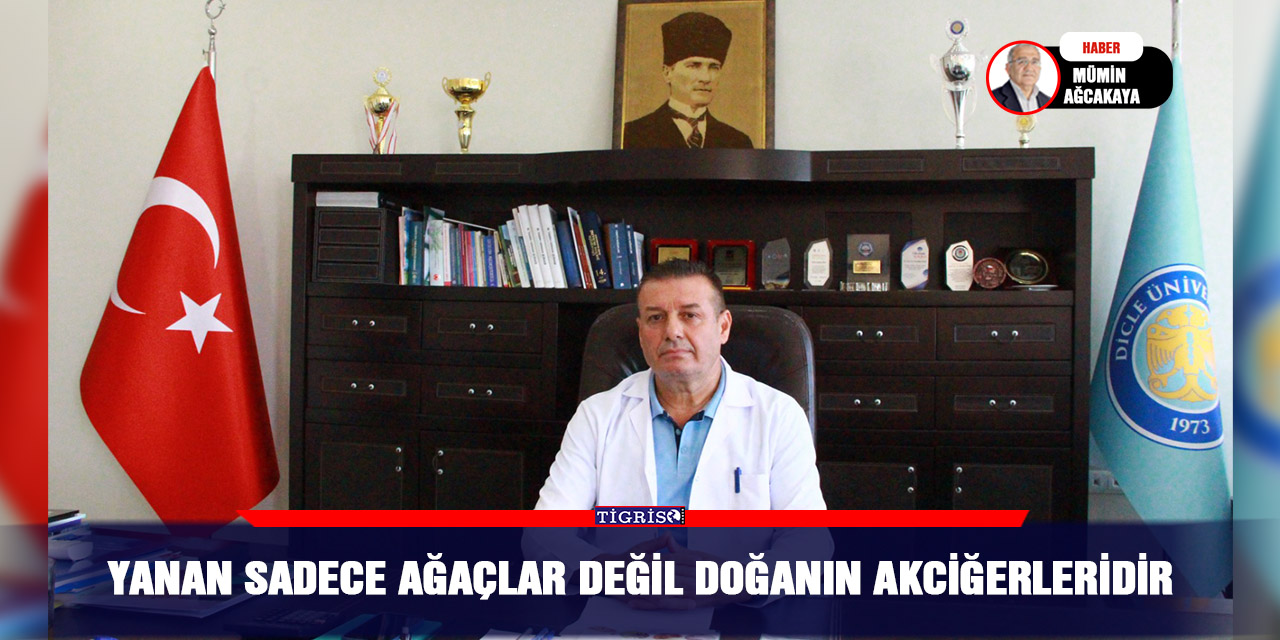 Yanan sadece ağaçlar değil doğanın akciğerleridir