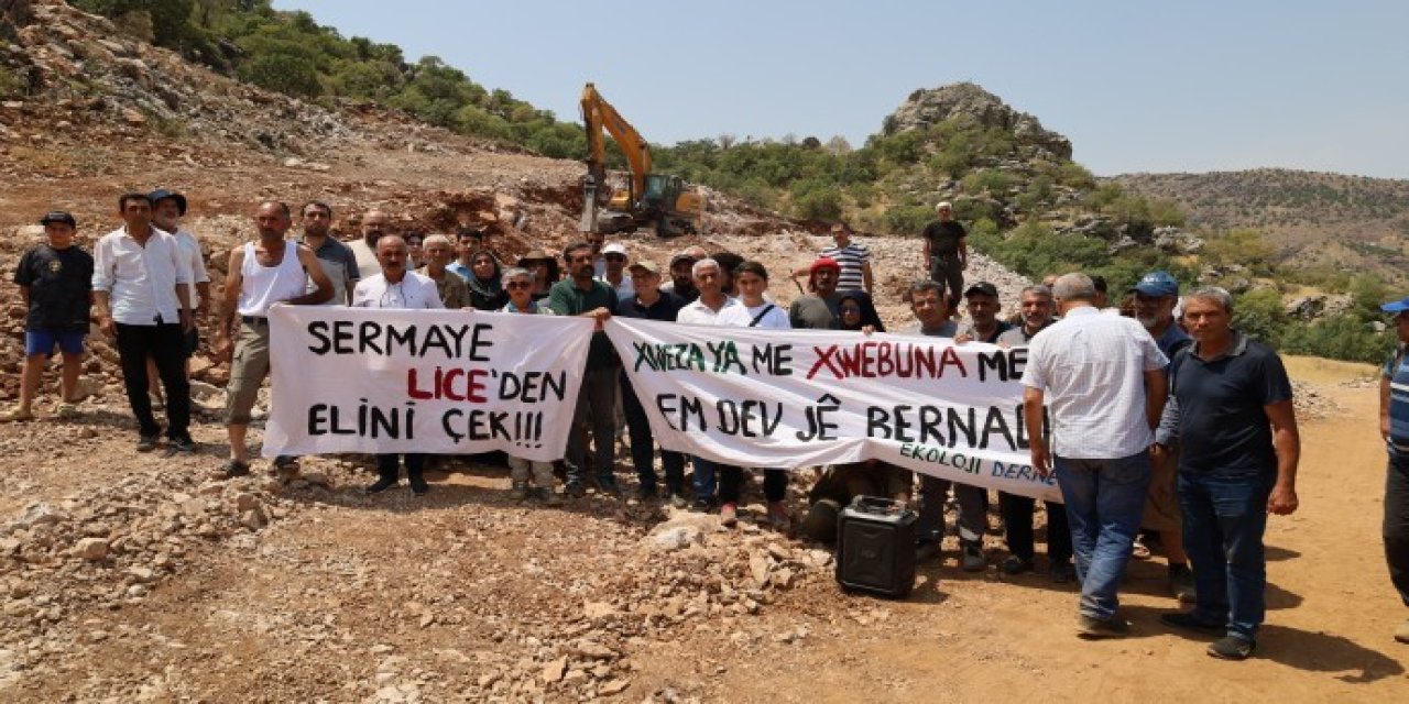Amed Ekoloji Meclisi'nden Birkleyn Mağarası için eylem