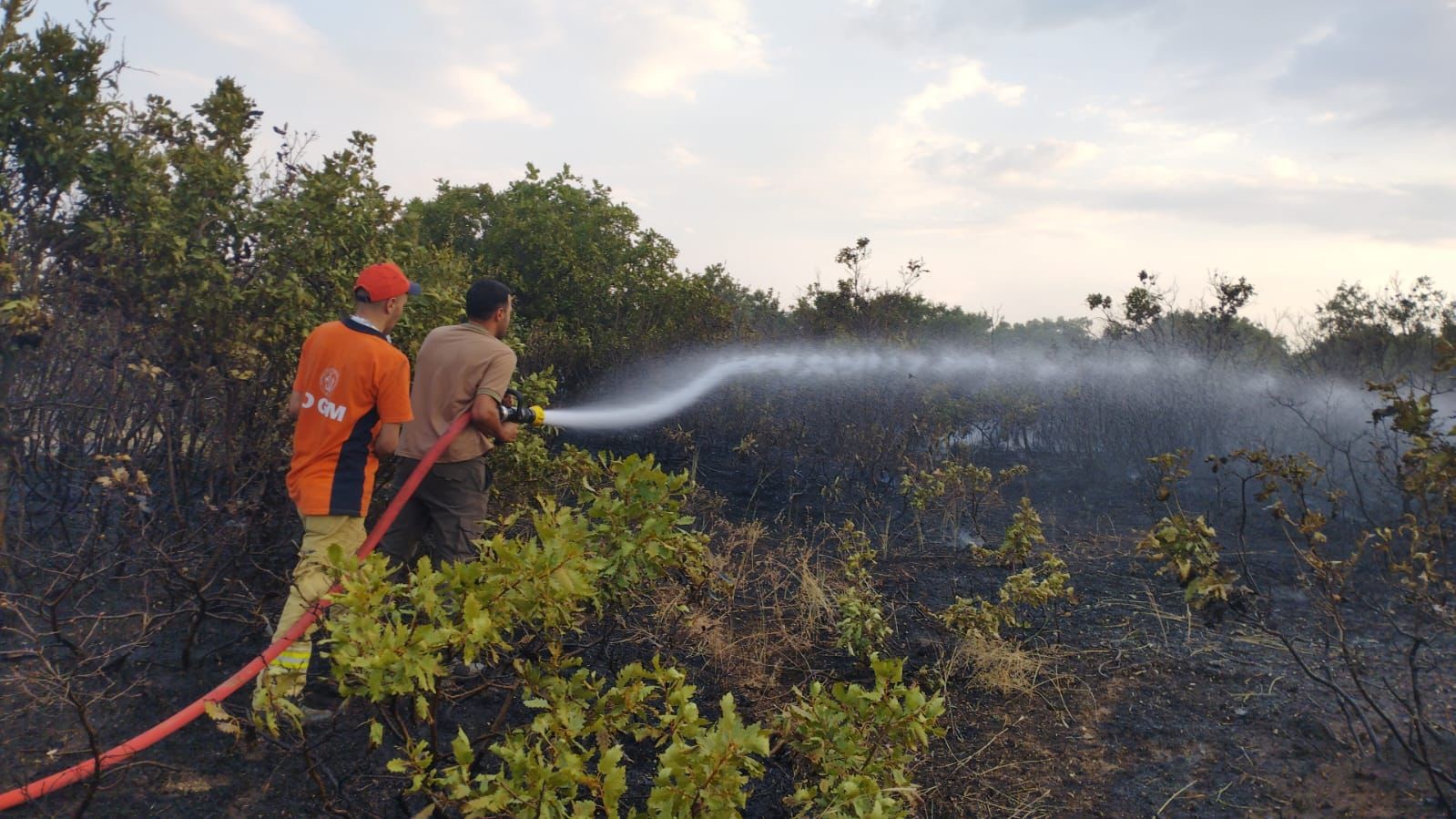 Bingöl’deki orman yangını kontrol altına alındı