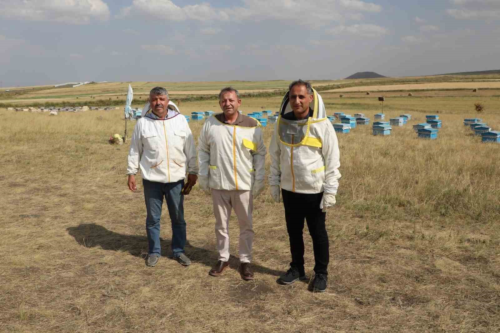 Kars’ta bu yıl bin 800 ton bal rekoltesi beklentisi