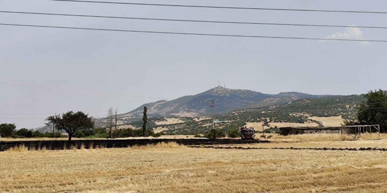 Diyarbakır'da Fis Ovası'nda yangın çıktı