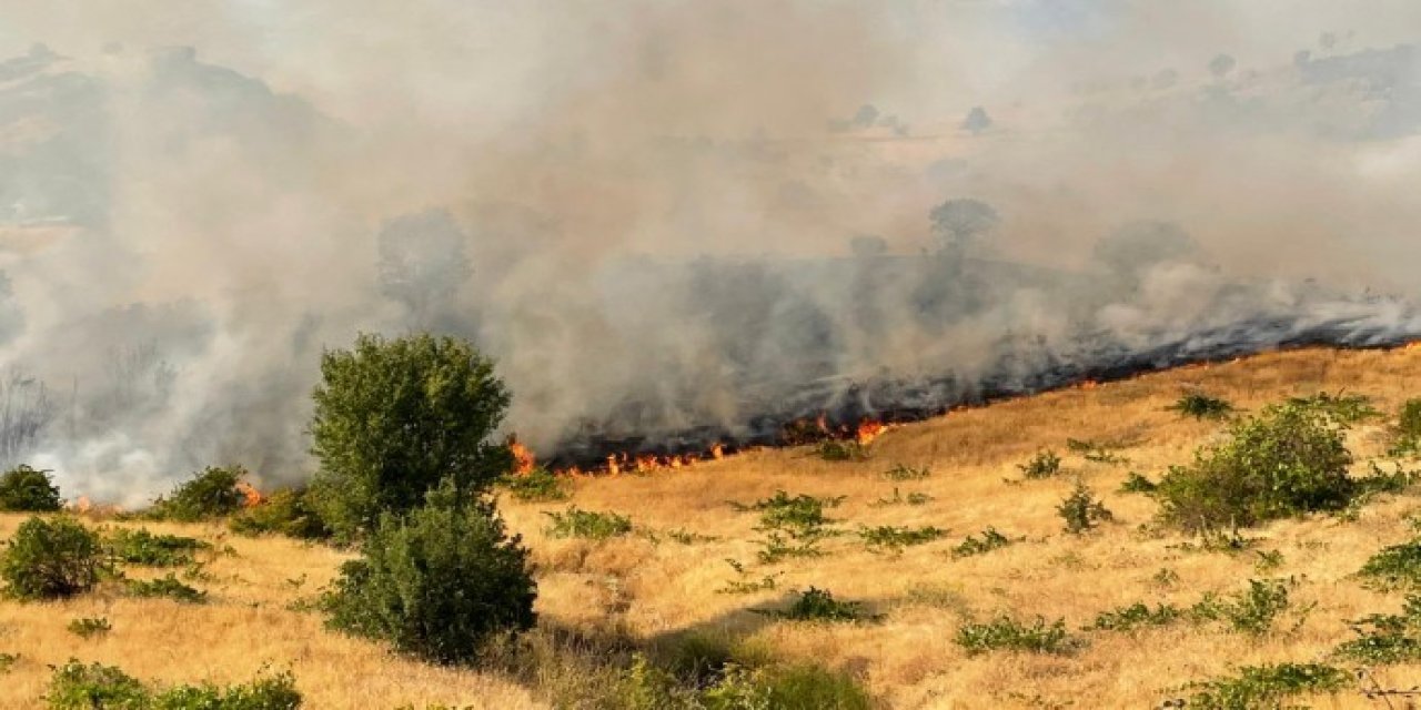 Diyarbakır Ergani'de orman yangını devam ediyor