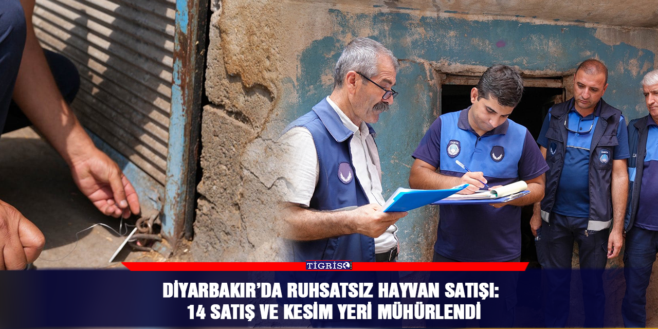 Diyarbakır’da ruhsatsız hayvan satışı:  14 satış ve kesim yeri mühürlendi