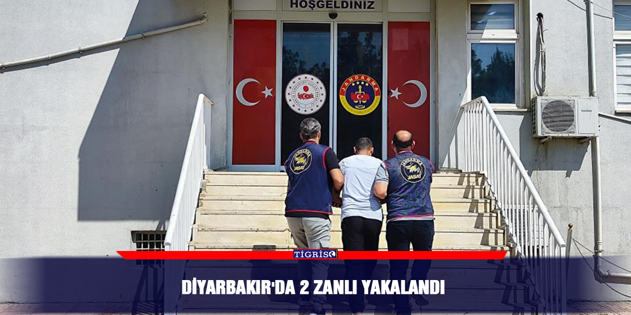 Diyarbakır'da 2 zanlı yakalandı