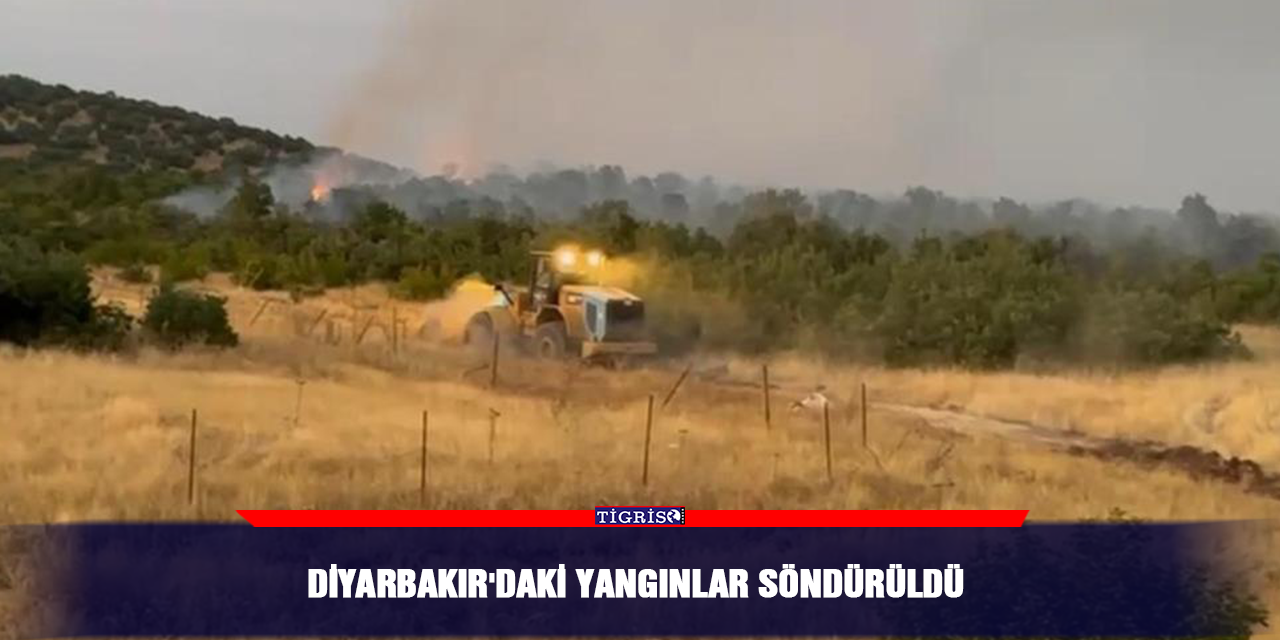 Diyarbakır'daki yangınlar söndürüldü