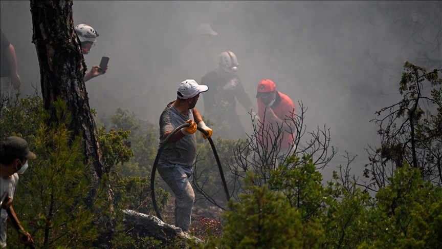 Orman yangınlarından etkilenen üç ile maddi destek