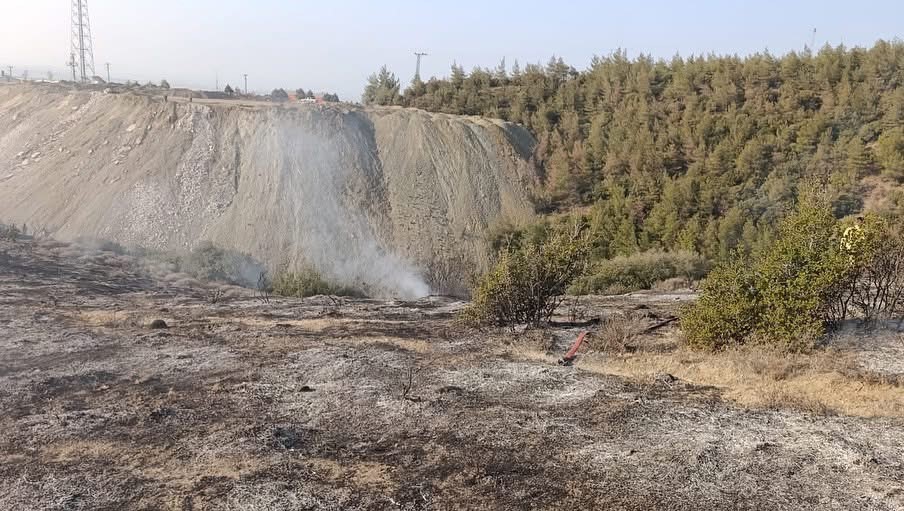Ormanlık alanda yangın çıktı