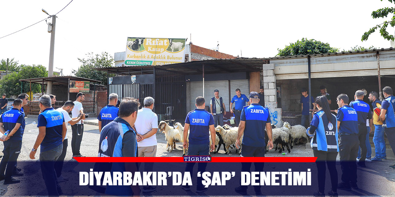 Diyarbakır’da ‘ŞAP’ denetimi