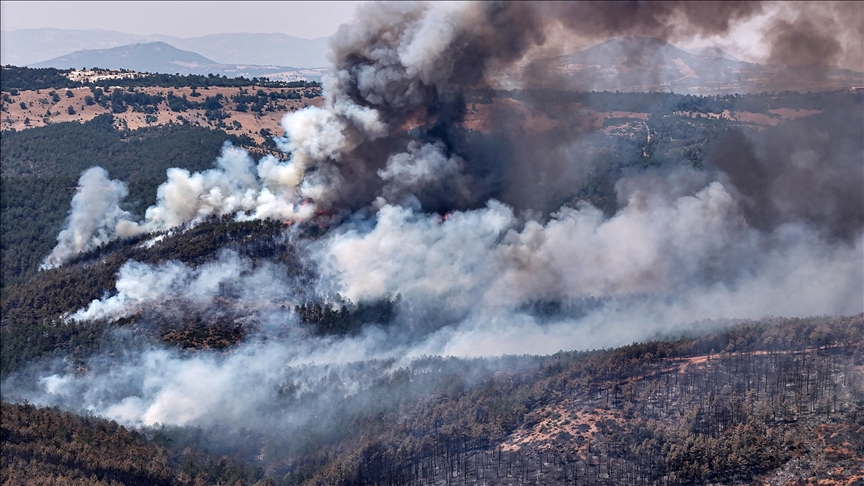 Ormanlarda hasar tespiti başladı