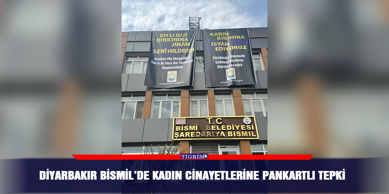 Diyarbakır Bismil’de kadın cinayetlerine pankartlı tepki