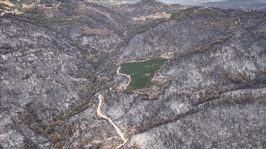 Bursa'da yanan alanlarda çalışmalara başlandı