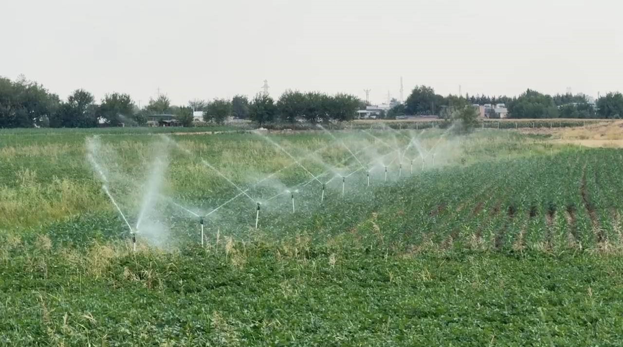 Uzmanlardan kuraklık uyarısı