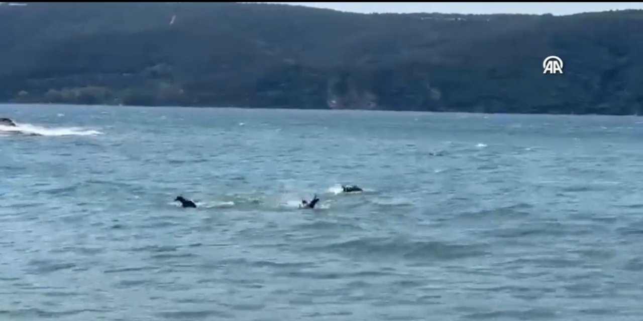 İstanbul'da tekne faciası: 1 ölü