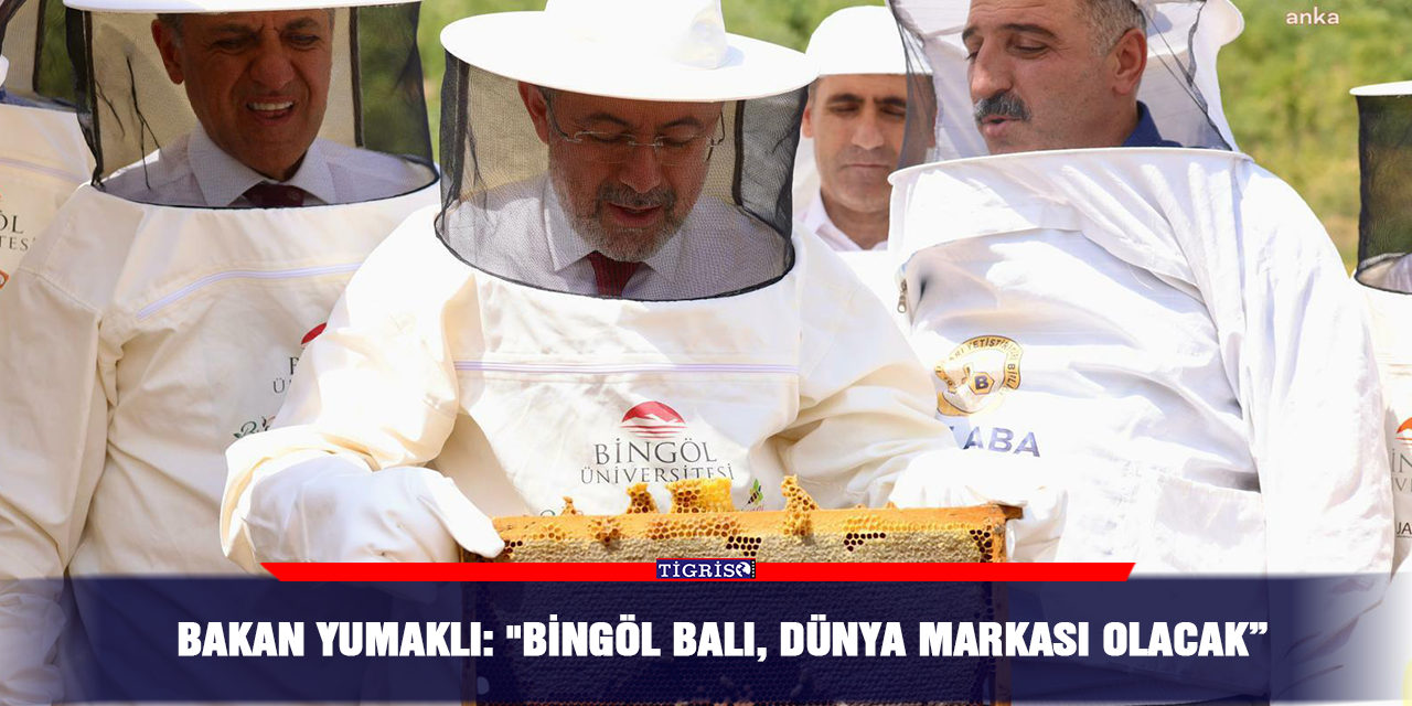 Bakan Yumaklı: "Bingöl balı, Dünya markası olacak”