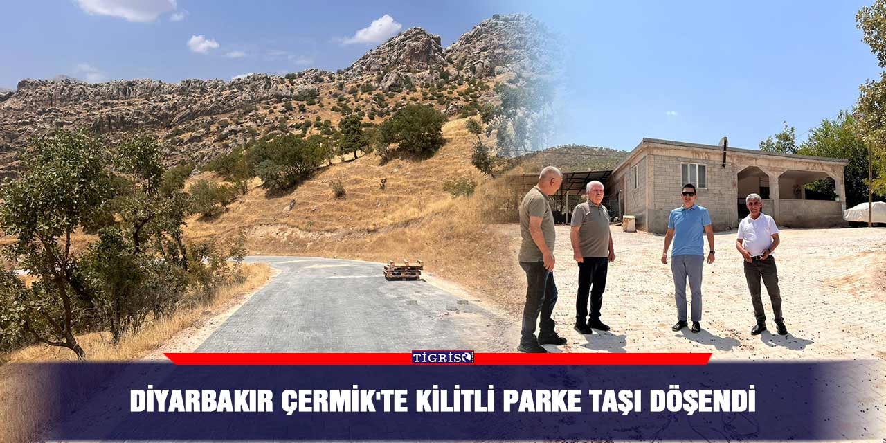 Diyarbakır Çermik'te kilitli parke taşı döşendi