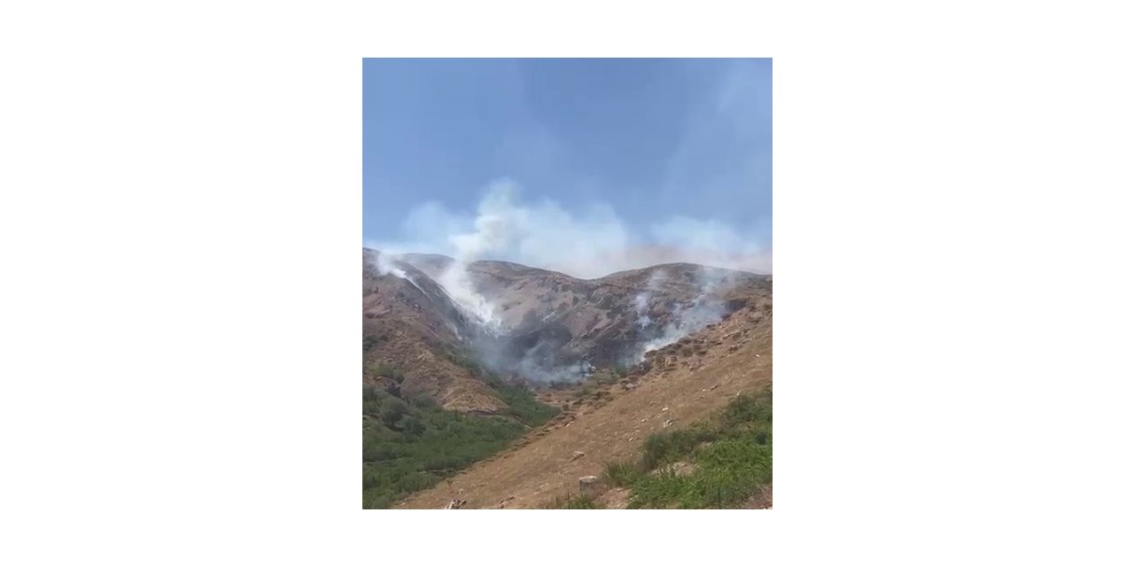 Adıyaman'da çıkan orman yangını söndürüldü