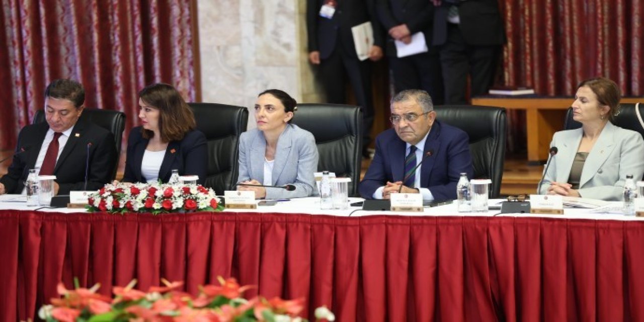 12 maddelik taslak sunuldu: Komisyon nasıl çalışacak?