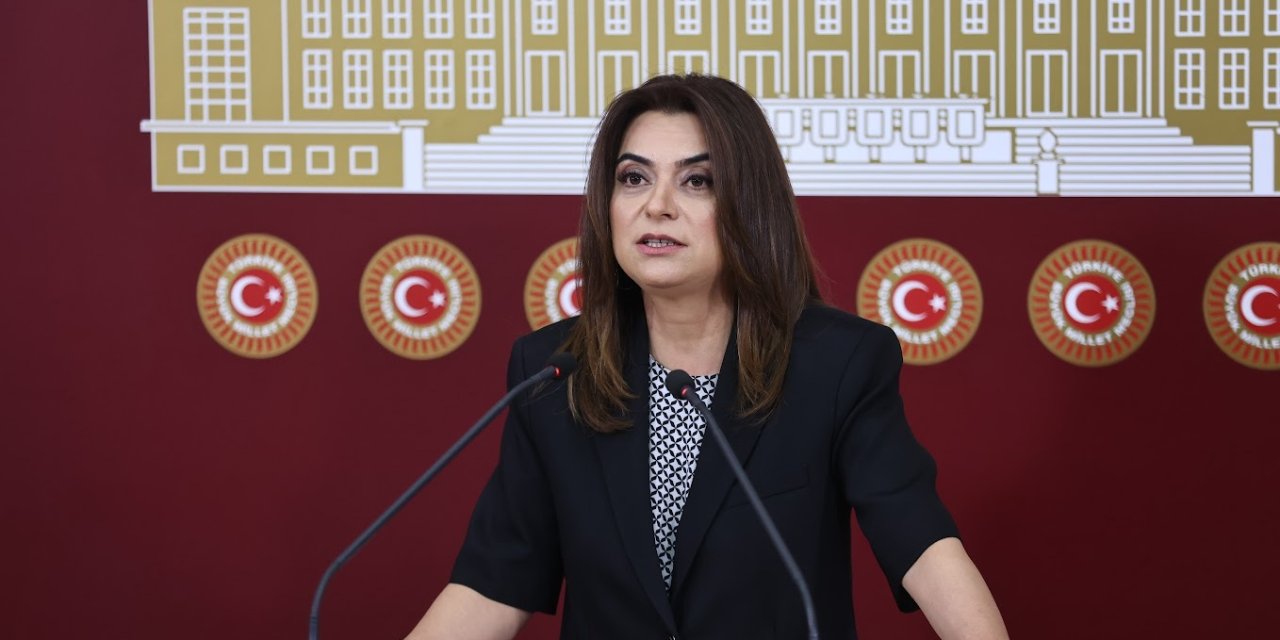 DEM Partili Koçyiğit: "Birlikte çalıştığımız kadın yaşam mücadelesi veriyor"