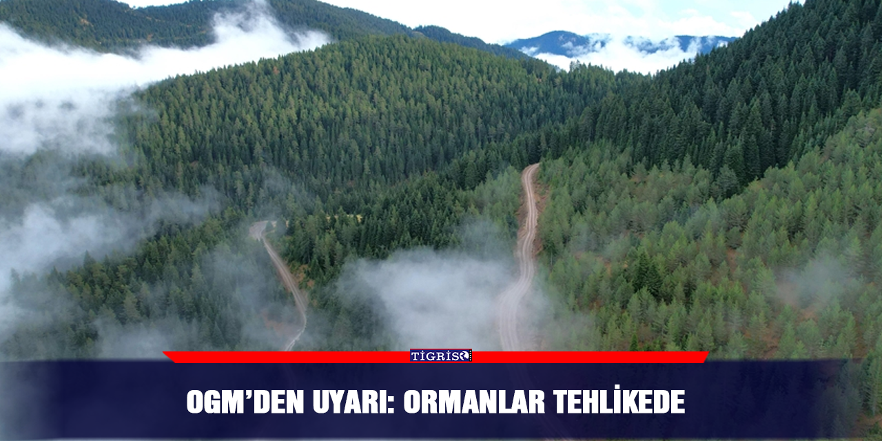 OGM’den uyarı: Ormanlar Tehlikede