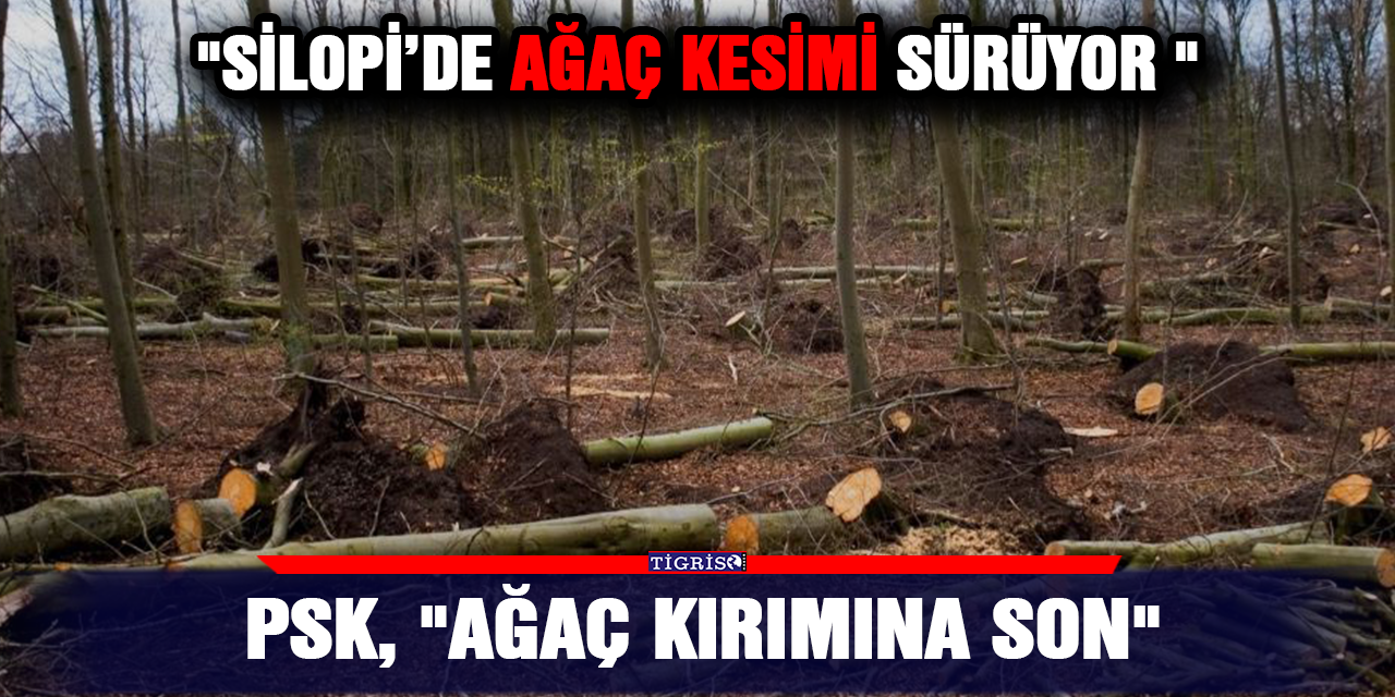 PSK, "Ağaç Kırımına Son"