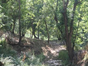 'Özgür bir gelecek ancak doğal bir yaşamla sağlanacak'