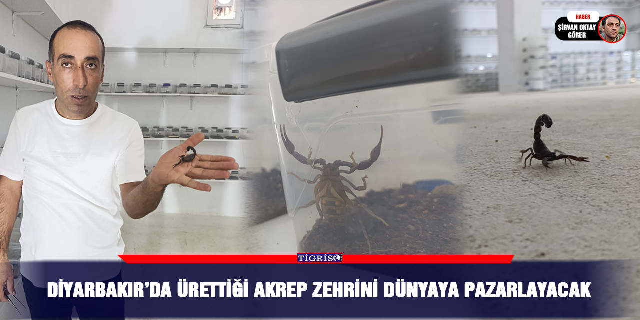 Diyarbakır’da ürettiği akrep zehrini dünyaya pazarlayacak