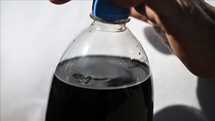 Koladan ölü arı çıktı!