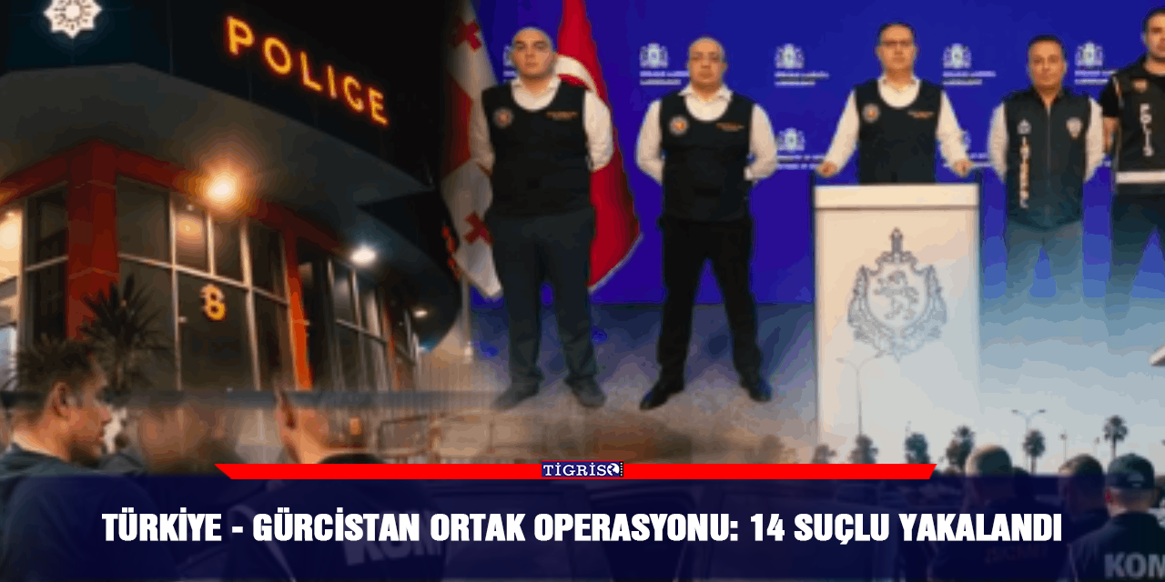 Türkiye- Gürcistan ortak operasyonu: 14 suçlu yakalandı